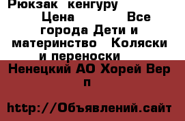 Рюкзак -кенгуру Baby Bjorn  › Цена ­ 2 000 - Все города Дети и материнство » Коляски и переноски   . Ненецкий АО,Хорей-Вер п.